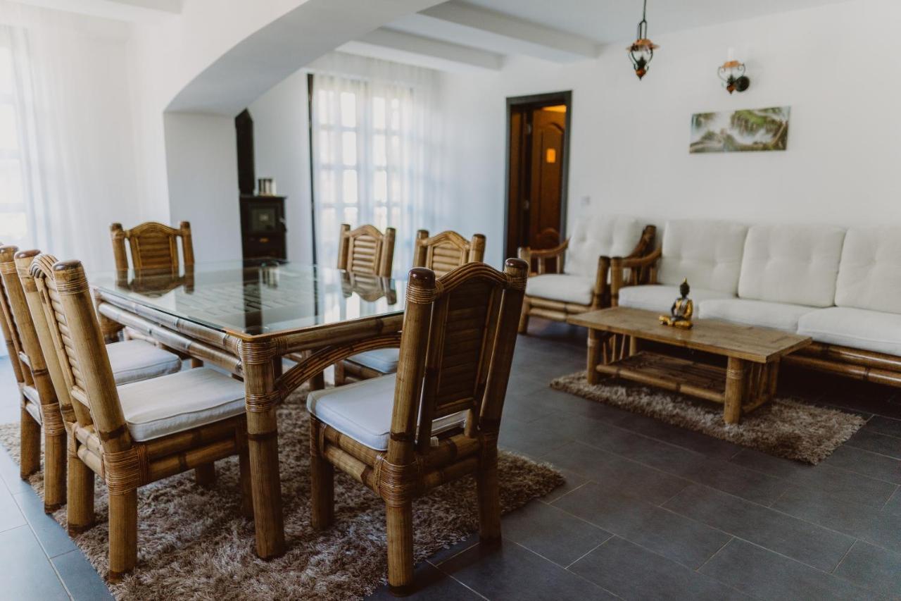 Vila Alsace Podu' Cu Lanturi Bacău Buitenkant foto