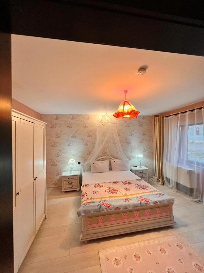 Vila Alsace Podu' Cu Lanturi Bacău Buitenkant foto