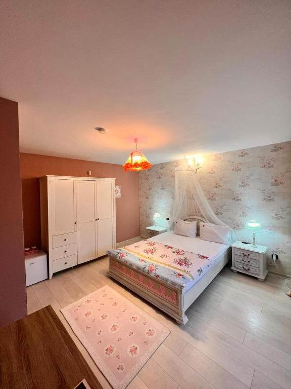 Vila Alsace Podu' Cu Lanturi Bacău Buitenkant foto