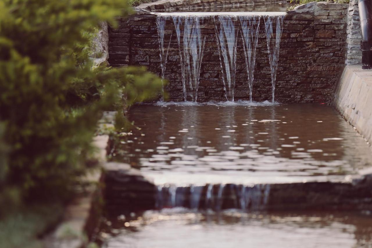 Vila Alsace Podu' Cu Lanturi Bacău Buitenkant foto